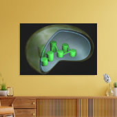 Conceptueel Afbeelding van chloroplast 1 Canvas Afdruk (Insitu (Woonkamer))