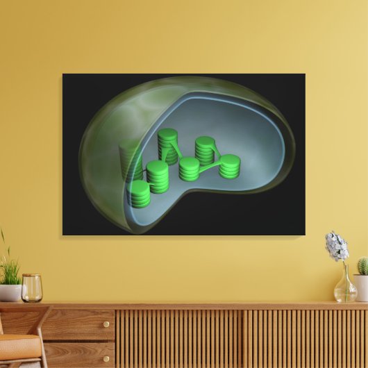 Conceptueel Afbeelding van chloroplast 1 Canvas Afdruk (Insitu (Woonkamer))
