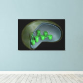 Conceptueel Afbeelding van chloroplast 1 Canvas Afdruk (Insitu (Houten vloer))