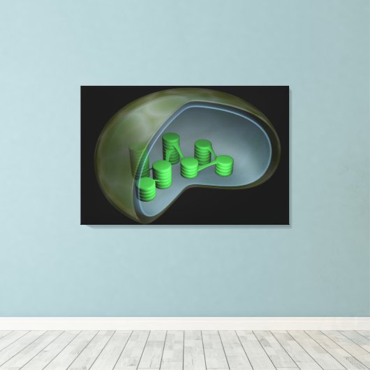 Conceptueel Afbeelding van chloroplast 1 Canvas Afdruk (Insitu (Houten vloer))