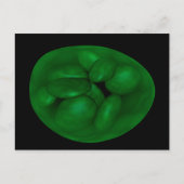 Conceptueel Afbeelding van chloroplast 2 Briefkaart (Voorkant)