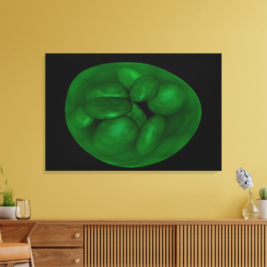 Conceptueel Afbeelding van chloroplast 2 Canvas Afdruk (Insitu (Woonkamer))