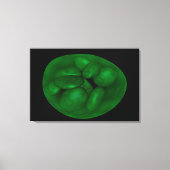Conceptueel Afbeelding van chloroplast 2 Canvas Afdruk (Voorkant)