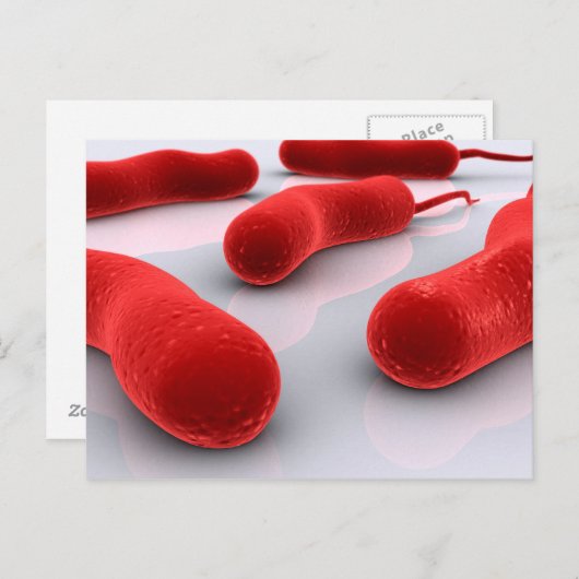 Conceptueel Afbeelding van cholerae bacteriën Briefkaart (Voorkant / Achterkant)