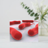 Conceptueel Afbeelding van cholerae bacteriën Briefkaart (Staand voorkant)