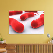 Conceptueel Afbeelding van cholerae bacteriën Canvas Afdruk (Insitu (Woonkamer))