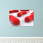 Conceptueel Afbeelding van cholerae bacteriën Canvas Afdruk (Insitu (Houten vloer))
