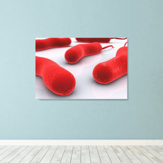 Conceptueel Afbeelding van cholerae bacteriën Canvas Afdruk (Insitu (Houten vloer))