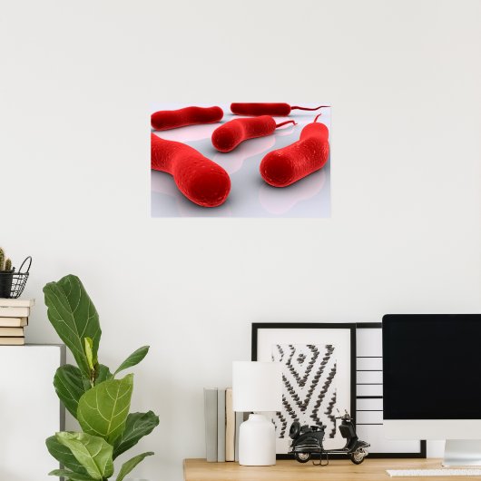 Conceptueel Afbeelding van cholerae bacteriën Poster (Thuiskantoor)