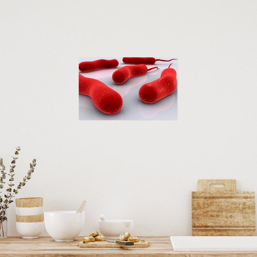 Conceptueel Afbeelding van cholerae bacteriën Poster (Keuken)