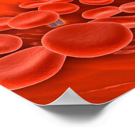 Conceptueel Afbeelding van chromosomen in het bloe Poster (Hoek)