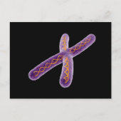 Conceptueel Afbeelding van chromosoom 2 Briefkaart (Voorkant)