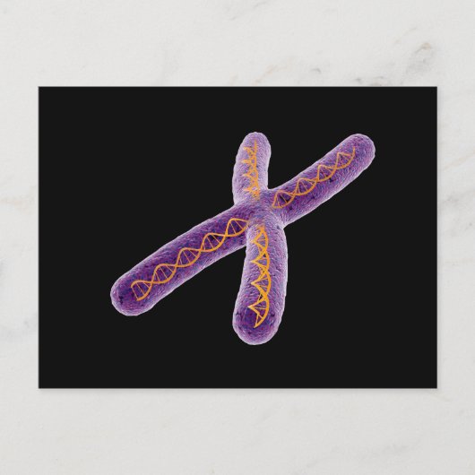 Conceptueel Afbeelding van chromosoom 2 Briefkaart (Voorkant)