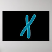 Conceptueel Afbeelding van chromosoom 3 Poster (Voorkant)