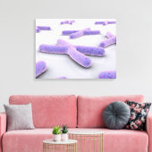 Conceptueel Afbeelding van chromosoom 4 Canvas Afdruk (Insitu (Woonkamer))