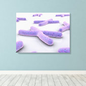 Conceptueel Afbeelding van chromosoom 4 Canvas Afdruk (Insitu (Houten vloer))
