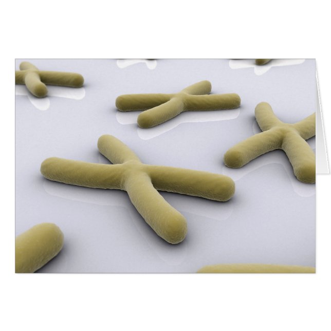 Conceptueel Afbeelding van chromosoomvrij 1 (Voorkant Horizontaal)