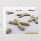 Conceptueel Afbeelding van chromosoomvrij 1 Briefkaart (Voorkant / Achterkant)