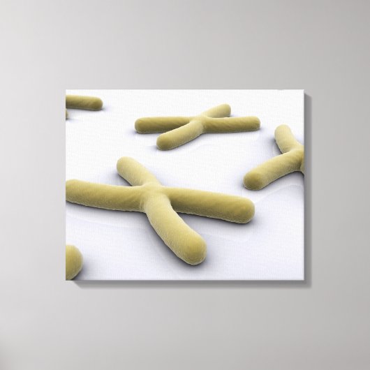 Conceptueel Afbeelding van chromosoomvrij 1 Canvas Afdruk (Voorkant)