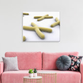 Conceptueel Afbeelding van chromosoomvrij 1 Canvas Afdruk (Insitu (Woonkamer))