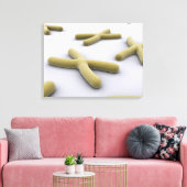 Conceptueel Afbeelding van chromosoomvrij 1 Canvas Afdruk (Insitu (Woonkamer))