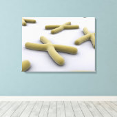 Conceptueel Afbeelding van chromosoomvrij 1 Canvas Afdruk (Insitu (Houten vloer))