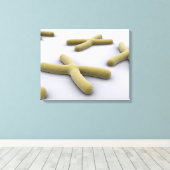 Conceptueel Afbeelding van chromosoomvrij 1 Canvas Afdruk (Insitu (Houten vloer))