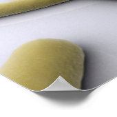 Conceptueel Afbeelding van chromosoomvrij 1 Poster (Hoek)