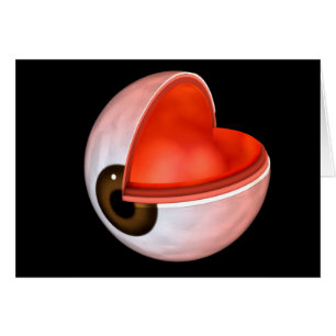 Conceptueel Afbeelding van de anatomie van de mens