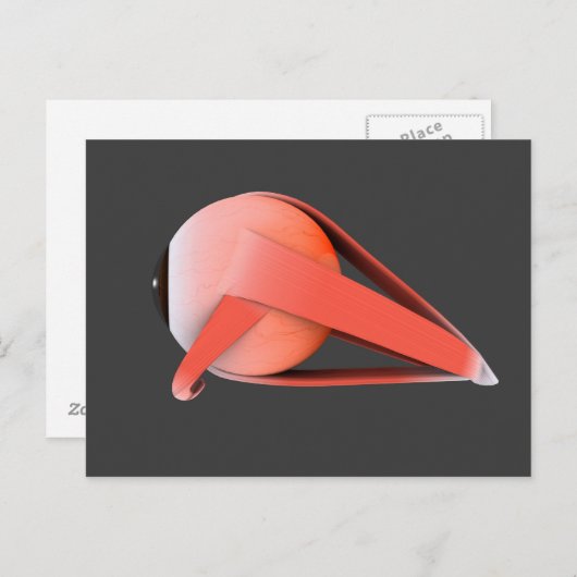 Conceptueel Afbeelding van de anatomie van de mens Briefkaart (Voorkant / Achterkant)