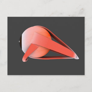 Conceptueel Afbeelding van de anatomie van de mens Briefkaart