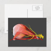 Conceptueel Afbeelding van de anatomie van de mens Briefkaart (Voorkant / Achterkant)