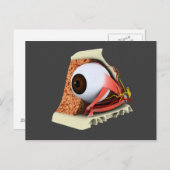 Conceptueel Afbeelding van de anatomie van de mens Briefkaart (Voorkant / Achterkant)