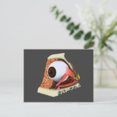 Conceptueel Afbeelding van de anatomie van de mens Briefkaart (Staand voorkant)