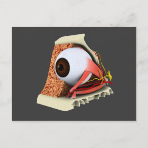 Conceptueel Afbeelding van de anatomie van de mens Briefkaart