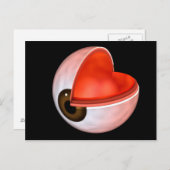 Conceptueel Afbeelding van de anatomie van de mens Briefkaart (Voorkant / Achterkant)