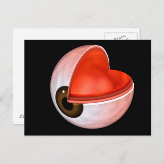 Conceptueel Afbeelding van de anatomie van de mens Briefkaart (Voorkant / Achterkant)