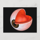 Conceptueel Afbeelding van de anatomie van de mens Briefkaart (Voorkant)