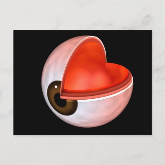 Conceptueel Afbeelding van de anatomie van de mens Briefkaart (Voorkant)