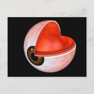 Conceptueel Afbeelding van de anatomie van de mens Briefkaart