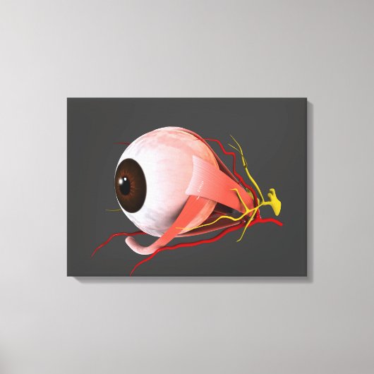 Conceptueel Afbeelding van de anatomie van de mens Canvas Afdruk (Voorkant)