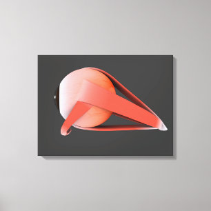 Conceptueel Afbeelding van de anatomie van de mens Canvas Afdruk