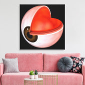 Conceptueel Afbeelding van de anatomie van de mens Canvas Afdruk (Insitu (Woonkamer))