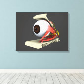 Conceptueel Afbeelding van de anatomie van de mens Canvas Afdruk (Insitu (Houten vloer))