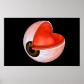 Conceptueel Afbeelding van de anatomie van de mens Poster (Voorkant)