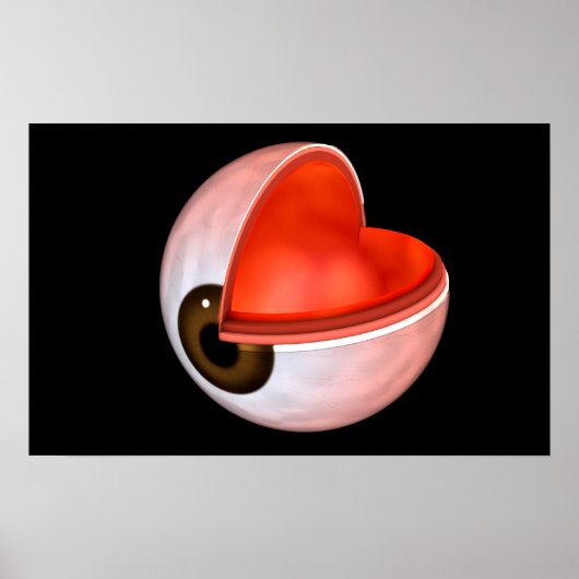 Conceptueel Afbeelding van de anatomie van de mens Poster (Voorkant)