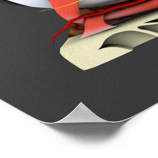 Conceptueel Afbeelding van de anatomie van de mens Poster (Hoek)