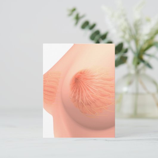 Conceptueel Afbeelding van de borstanatomie van he Briefkaart (Staand voorkant)