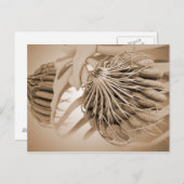 Conceptueel Afbeelding van de borstanatomie van he Briefkaart (Voorkant / Achterkant)