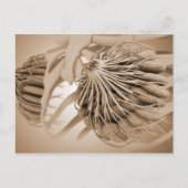 Conceptueel Afbeelding van de borstanatomie van he Briefkaart (Voorkant)